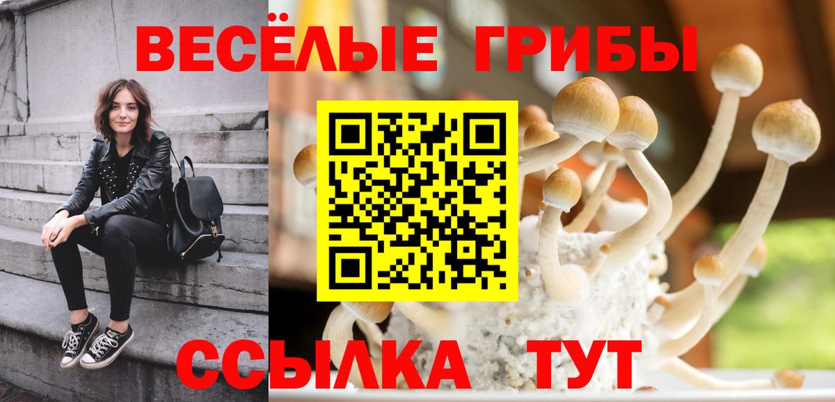 Ликино-Дулёво  Псилоцибиновые грибы Cubensis  цены наркотик  Вход с VPN 